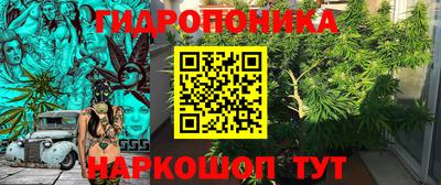 амф Заволжье