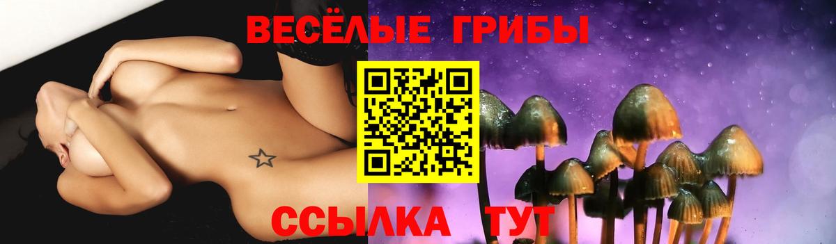 Галлюциногенные грибы Magic Shrooms  Галлюциногенные грибы Cubensis  Кропоткин  Вход с VPN 